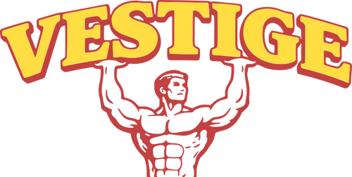 Vestige Aesthetics